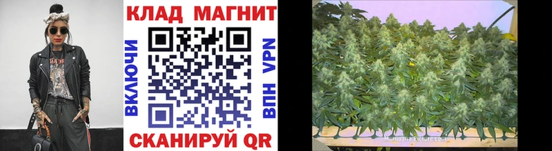 Сколько стоит Муром A-PVP  МАРИХУАНА  kraken ССЫЛКА  ГАШИШ  Мефедрон 