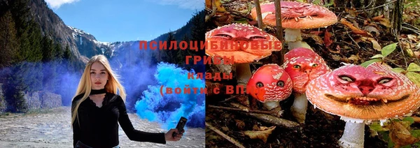 mdpv Алзамай