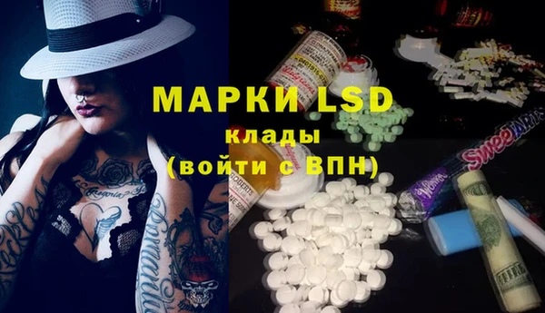 прущие грибы Алексин